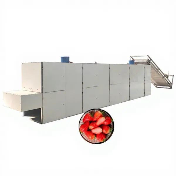 Fully Automatic Drying Machine Fruit Strawberry Dryer Drying Equipment Vegetable Onion Dehydrator