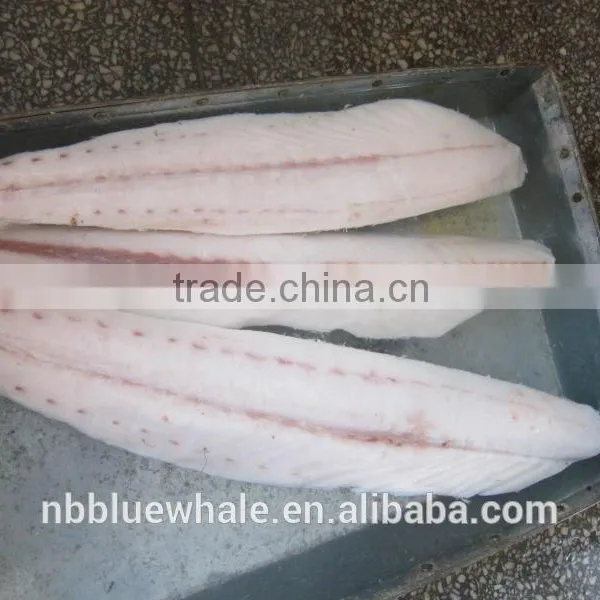 Fresh Frozen Oilfish Fillets Hot Saleing photo-2