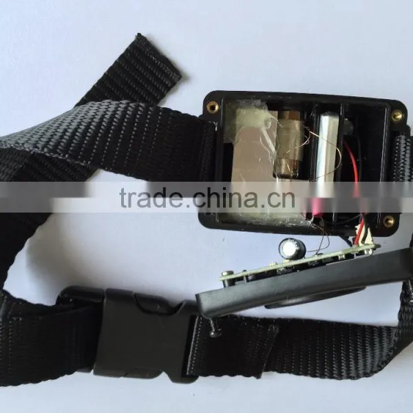 Collars for Small Dogs With Spray Function photo-4