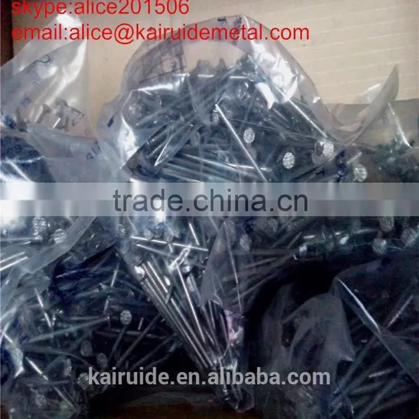Wholesale Factory Production Wood Nail High Quality All Sizes Of/common Nail photo-6