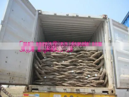Twist Low Price Electro Galvanized Iron Wire Galvanized Iron Wire Factory photo-3