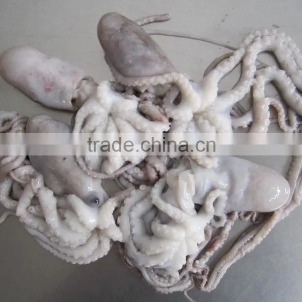 Frozen Octopus BQF Octopus Of Various Sizes photo-2