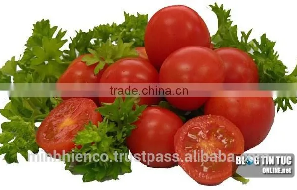 Pickled Tomatoes in 1500ml Glass Jar and 720ml Glass Jar. photo-2