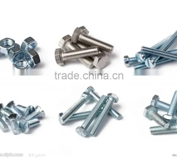 304l Hex Bolt With Nuts photo-4