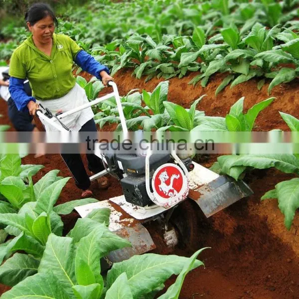 2WD 7hp Gasoline Tractor Disc Plow for Sale Small Tractor photo-3