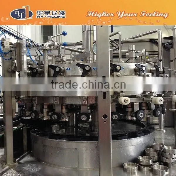 Beer Canning Machine(DYGF30-6) photo-6