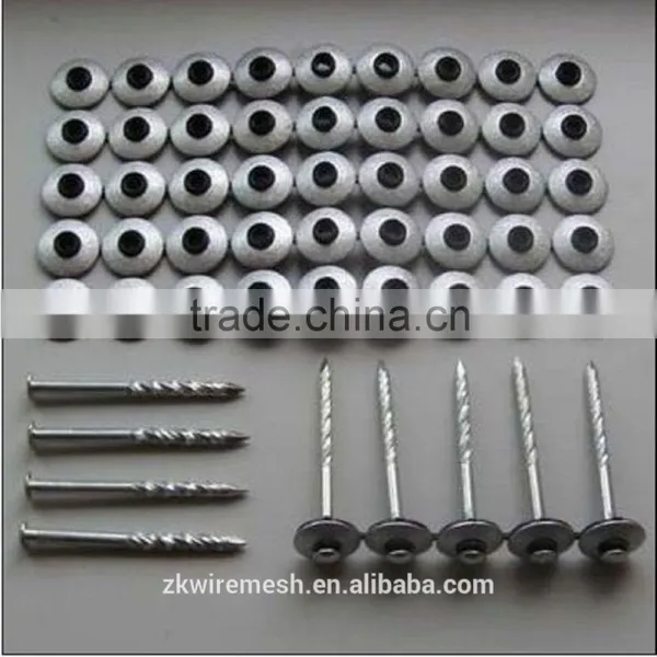 Galvanized Common Nails/Common Wire Nails/Iron Nails photo-3