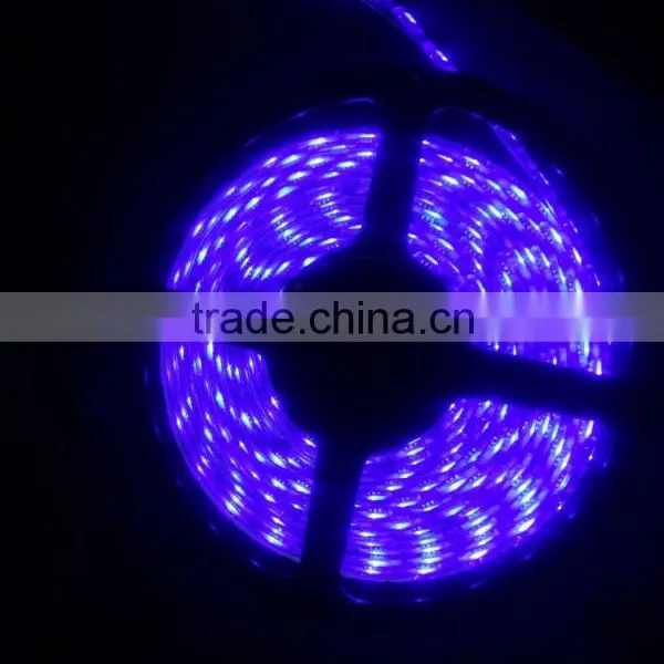 12V 5050 Full Color Led Strip Light With 20pixels per Meter 3leds Cuttable photo-3