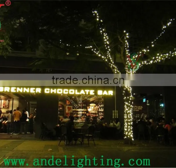 LED Clip Light Decoration Christmas Light Festoon Lighting photo-4