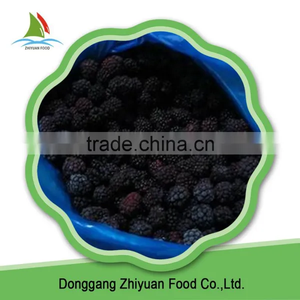 High Quality Organic Black Berries photo-3