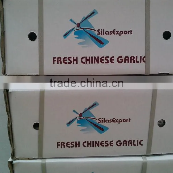 Fresh Garlic/ail Frais photo-3