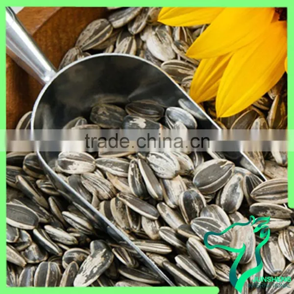 Sunflower Seeds For Birds Food