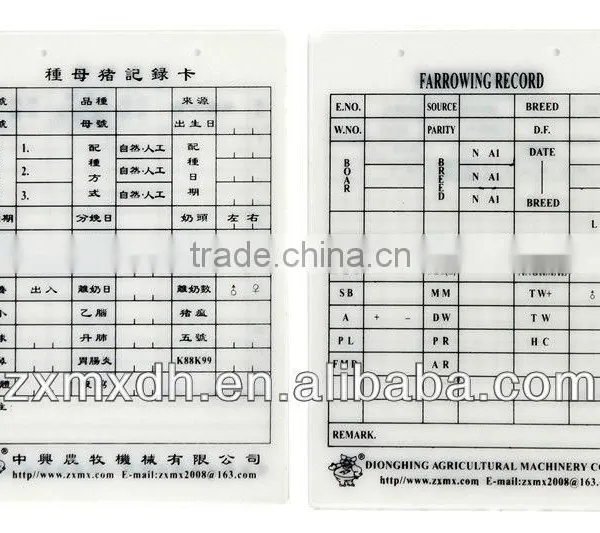 Sow Record Memory Cards