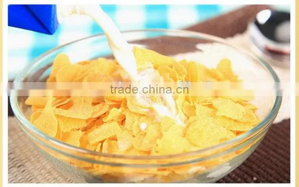 Cheap Hot Sale Promotion Automatic Nestle Corn Flakes Machine photo-5