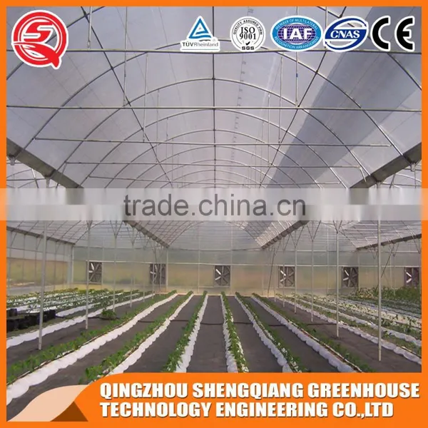 Multifunction Plastic Film Greenhouse for Vegetables Planting,flowers,culture photo-2