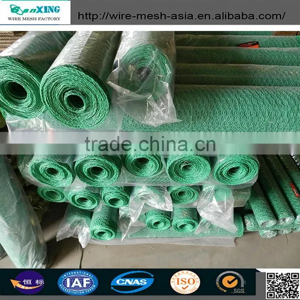 Bird Cage Wire Mesh / Gabion Mesh / Hexagonal Wire Mesh With High Quality photo-3