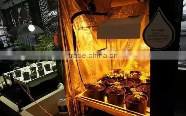 Complete Metal Cabinet Indoor Stealth Hydroponics System Grow Box