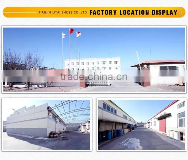Lady Winter Cold-resistant Safety Working Boots, Winter Snow Boot photo-2