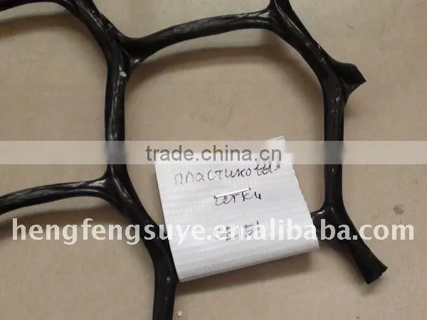 China High Quality Polyester Geogrid and Fiberglass Geogrid China Direct Factory photo-3