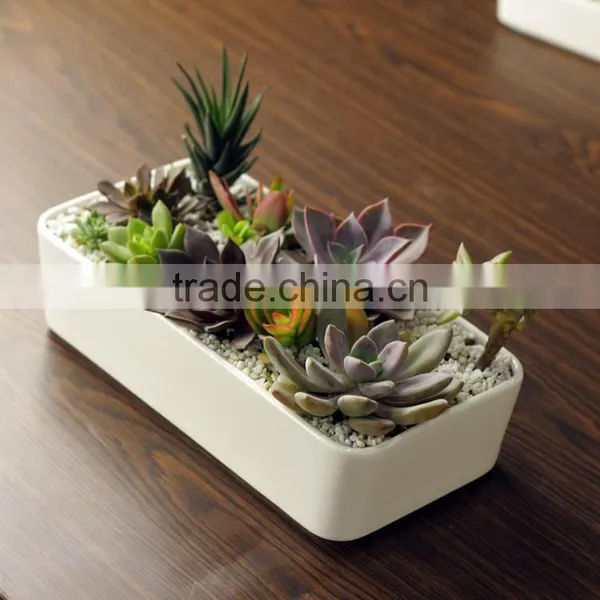 Home Desktop Decorative White Rectangular Ceramic Planter photo-3