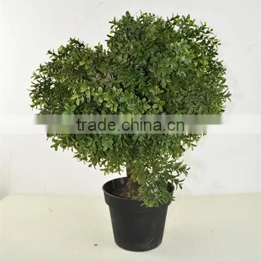 SJ041116 Small Bonsai Ball Plant Topiary Tree for Indoor Decoration photo-2
