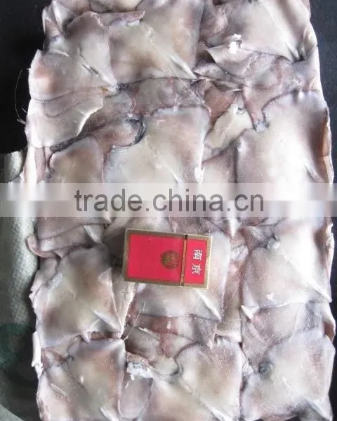Frozen Gaint Sqiud Wing photo-3