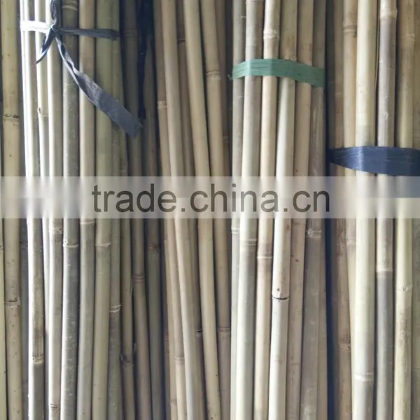 Raw Bamboo Poles Wholesale for Construction photo-2