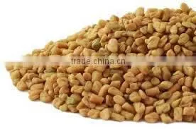 Superior Quality Trigonella Foenum-graecum