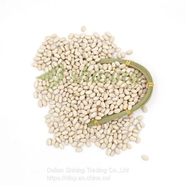 All Size Japanese White Kidney Beans
