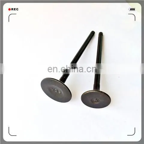 Oem 5S6452 5S6449 Engine Valve for 3304 Catd4 photo-4