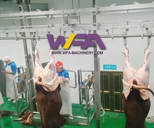 Cattle Slaughter Line Abattoir Equipment Slaughtering Line Butcher Machine Bleeding Conveyor photo-5