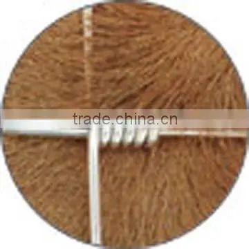 Hot Sale Welded Wire Mesh Fence photo-2