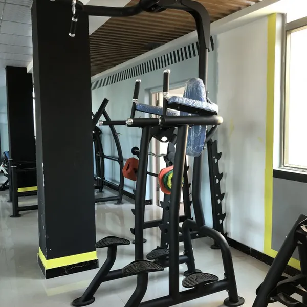 Fitness Tree Commercial Gym Equipment Vertical Leg Raise Machine photo-4