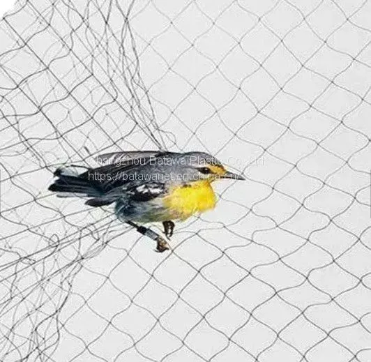 Batawa Agriculture Crop Protection Pole Trapping Barrier Control Hunting Polyster Anti Mist Mesh Bird Net Price photo-2