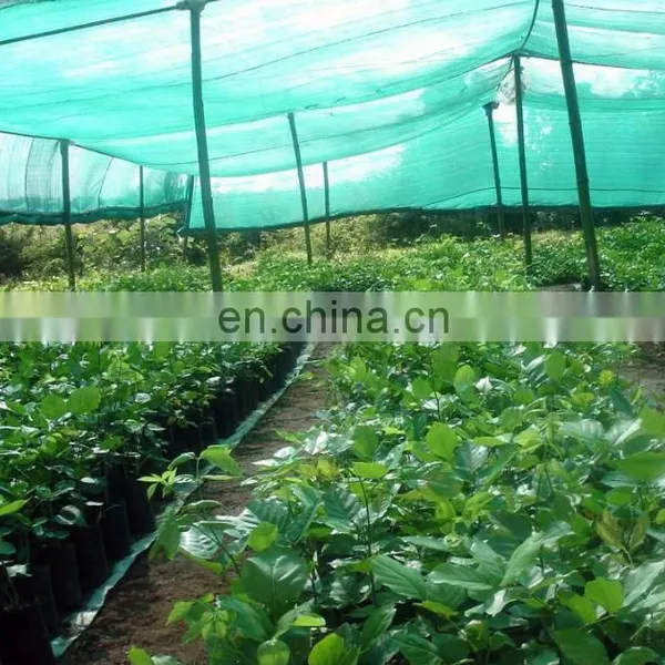China Shade Netting Solar Protection Net Agriculture Greenhouse Cover Mesh Netting Knitted photo-2