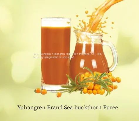 Sea Buckthorn Puree photo-3
