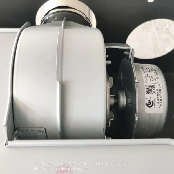 6l/8l/12l/14l/16l/20l/24l Wholesale Price Portable Gas Water Heater Gas Water Heater Gas Boiler photo-4