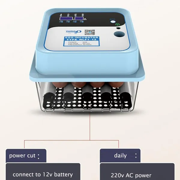 220v+12v Automaitic Egg Turning Mini Chicken Incubator for Home Use photo-2