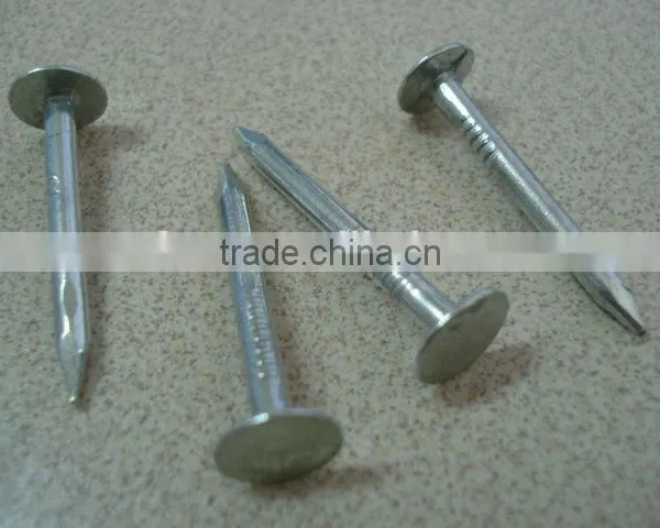 Galvanized Coated Broad Head Nails photo-2