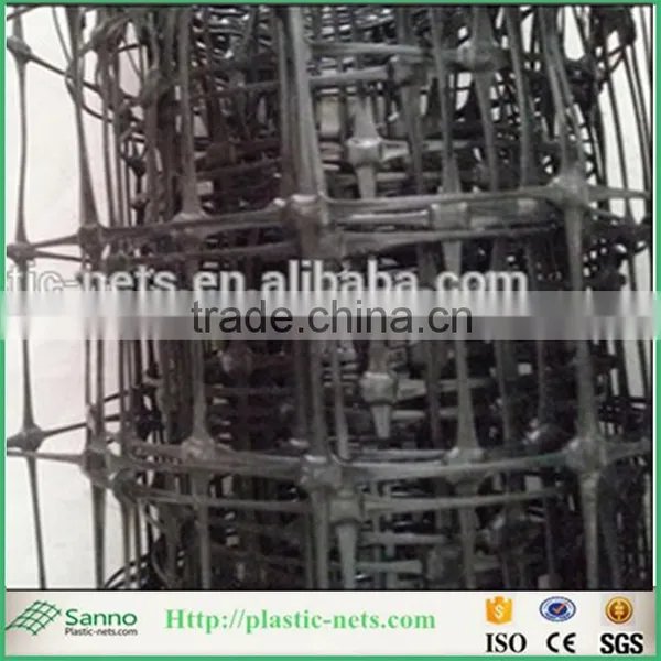 High Quality Plastic Plain Net for Poultry Fence photo-5