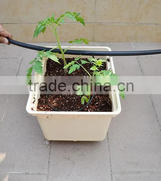 Commercial Duch Buckets for Tomatoes photo-3