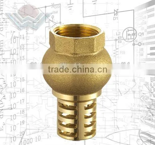 Brass Check Valve
