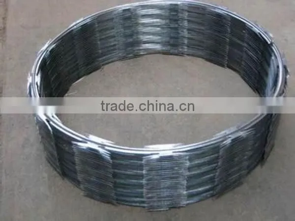 2015 Modern Hot Sales Razor Wire , Razor Wire Factory photo-3