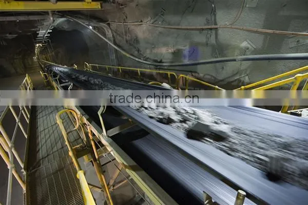 China Supplier photo-4