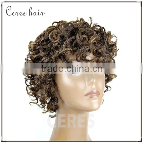 100% Premium Synthetic Wig Short Wig Afro Kinky Curly Wig for Black Women photo-4