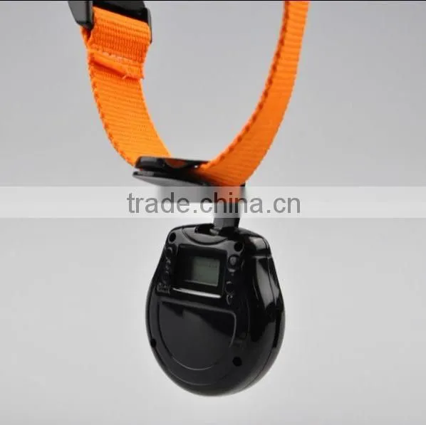 New Popular Mini LCD Pet Camera ,dog Collar Camera 2015 New Quality Choice photo-2