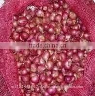 Shallot Exporters/Small Onion Exporters