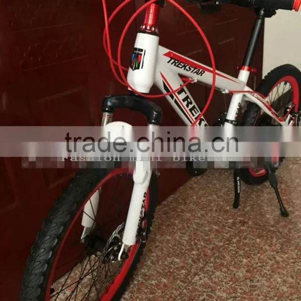 Bicycle Fashion Mini Bike MTB 10 Inches Sports Gear Steel Folding Bike Sell Like Hot Cakes photo-6