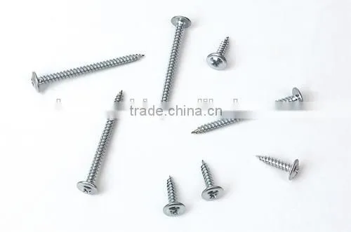 Truss Head Phillips Self Tapping Screw Zinc Plated Roofing Screw photo-5