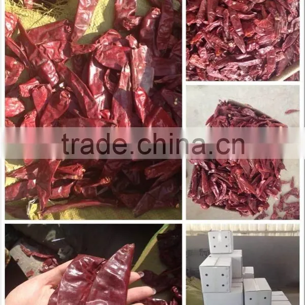 Red Chilli, Dry Red Chilli (American Red/Jinta/Yidu)